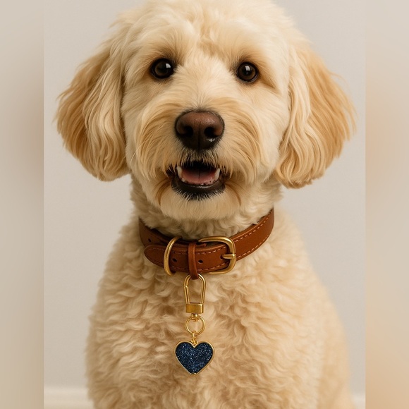 Personalized Heart Charm for Pets, Dog Collar Accessories- NWT - Picture 10 of 10